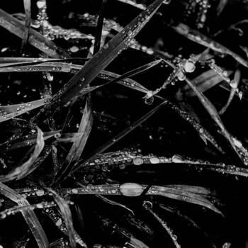 Inner Suffering (UKR) : Doom